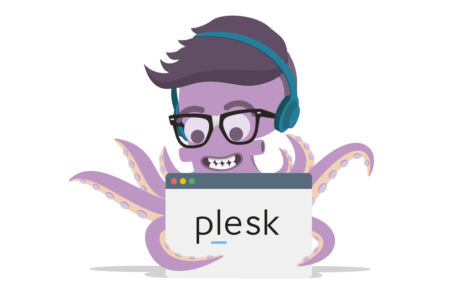 🌐 Plesk Web Hosting